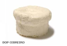 Queso DOP O Cebreiro Foto de queso DOP O Cebreiro es