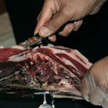 Jamón