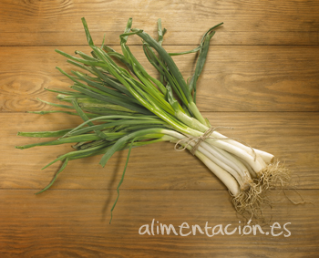 Imagen de resolucion Baja calçot