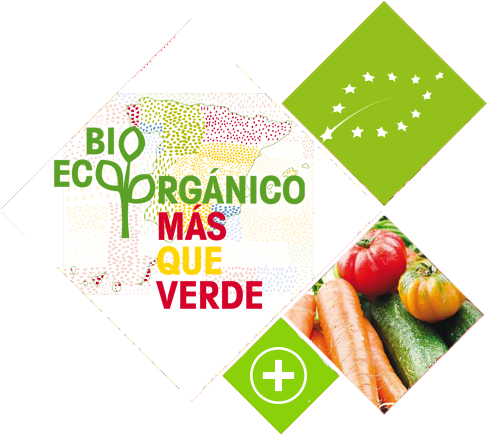 Agricultura ecológica