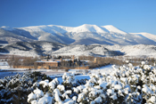 Actividades-Garnacha-Campo de Borja