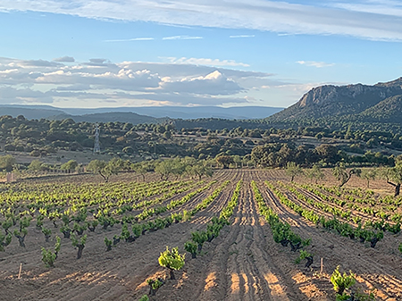 Localizacion-Ruta del Vino de Madrid