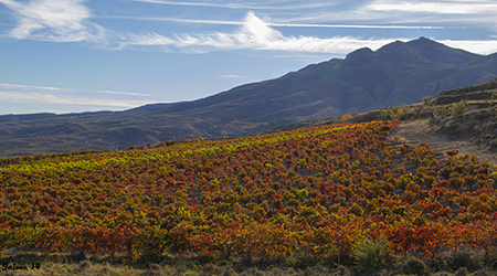 RECURSOS-Ruta del Vino Rioja Oriental