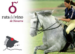 LOGO2-Ruta del Vino de Navarra