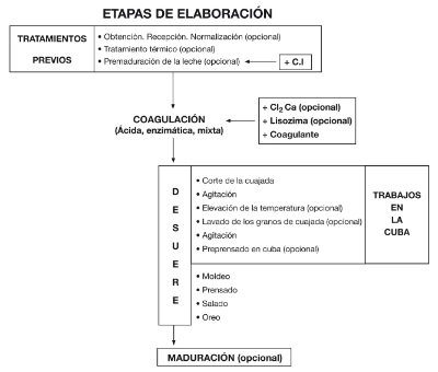 Etapas de elaboración de queso y operaciones más frecuentes