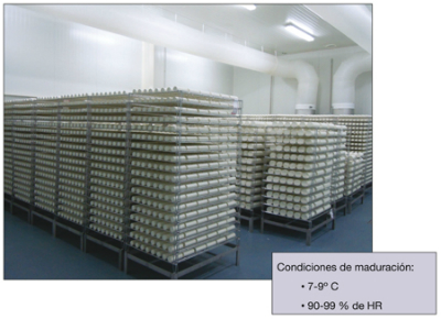 Cámara de maduración para quesos de pasta blanda lácticos