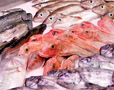 Pescados