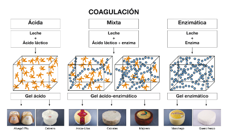 Coagulación ácida, mixta y enzimáticaFigura 7es